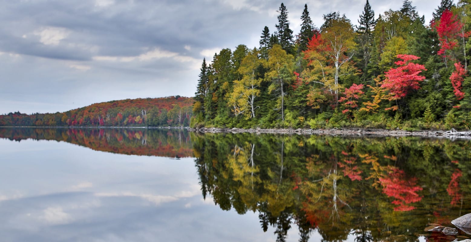 About Algonquin Park Northern Edge AlgonquinNorthern Edge Algonquin About Algonquin Park Northern Edge AlgonquinNorthern Edge Algonquin