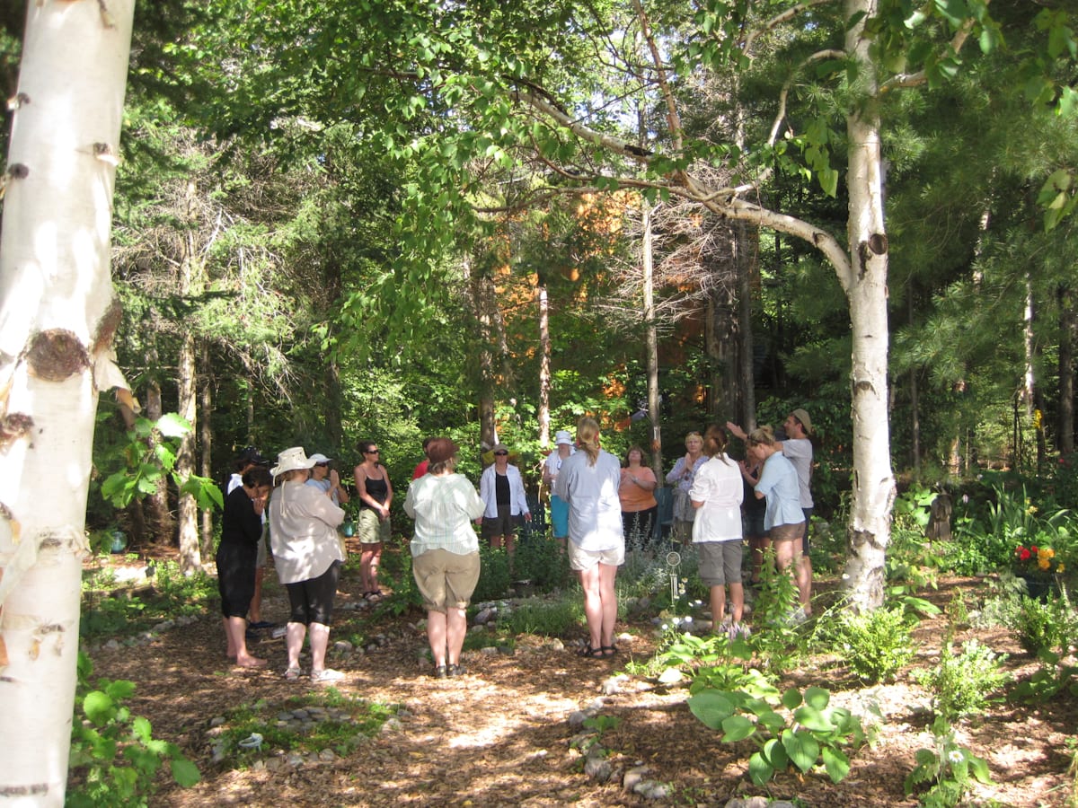 shamanism circle in forest gratitude garden