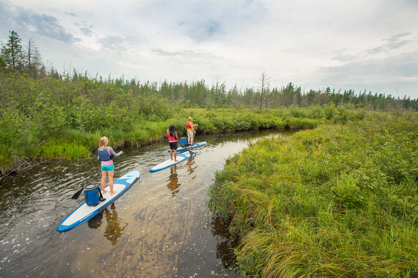 A standup paddle boarding nature outing in the summer